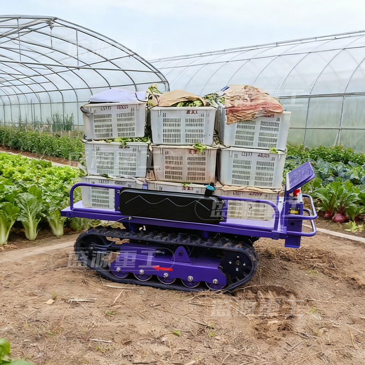 遥控履带蔬菜运输车