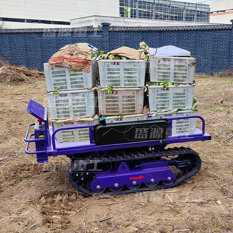 果园履带蔬菜运输车